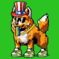 DogePunks #3618