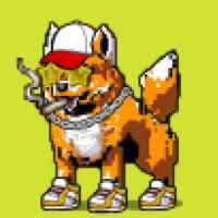 DogePunks #3557