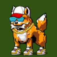 DogePunks #3788