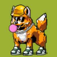 DogePunks #1315