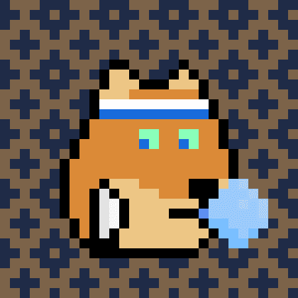 Dogepunk #9211
