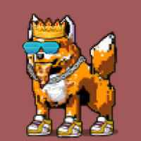 DogePunks #4678