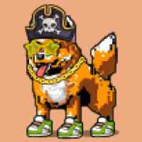 DogePunks #1204