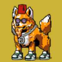 DogePunks #4041