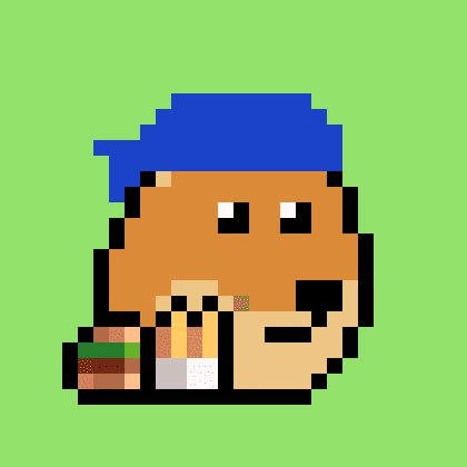 Dogepunk #9009