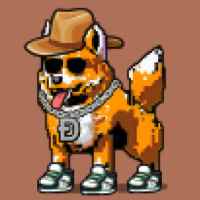 DogePunks #1609