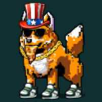 DogePunks #3598
