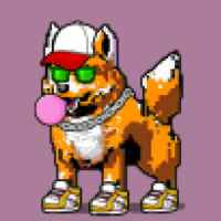 DogePunks #1544