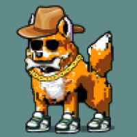 DogePunks #4605