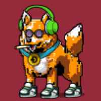 DogePunks #869