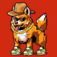 DogePunks #4905