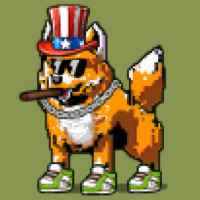 DogePunks #4662