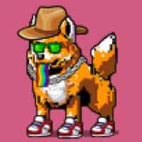 DogePunks #2158