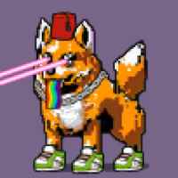 DogePunks #1241