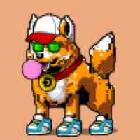DogePunks #2958
