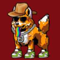DogePunks #3496