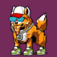 DogePunks #742