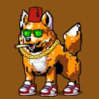 DogePunks #2727