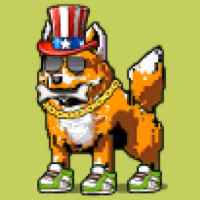 DogePunks #229