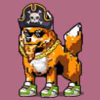 DogePunks #1451