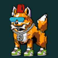 DogePunks #2185