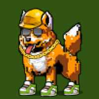 DogePunks #713