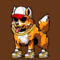DogePunks #1729