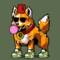 DogePunks #604