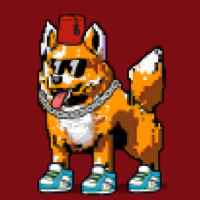 DogePunks #3391
