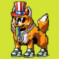 DogePunks #1857