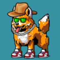 DogePunks #363