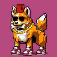 DogePunks #654