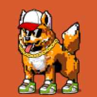 DogePunks #576