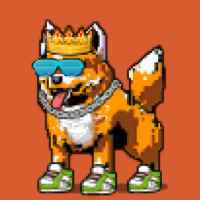 DogePunks #1522