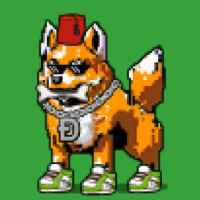 DogePunks #1182