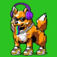 DogePunks #4043