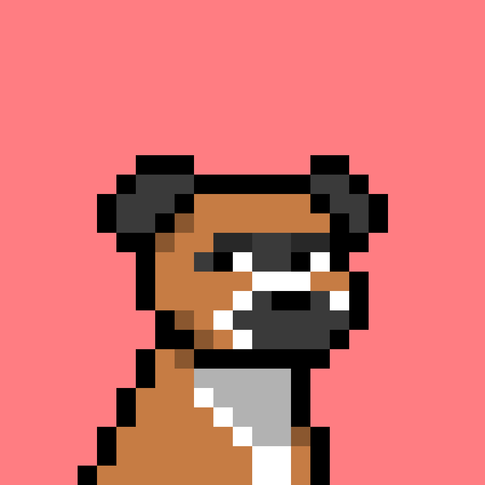 Doginal Dog #896