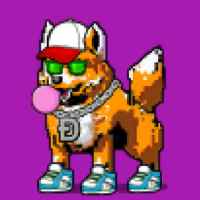 DogePunks #4160