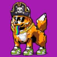 DogePunks #1258