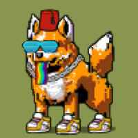DogePunks #2572