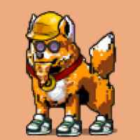 DogePunks #4437