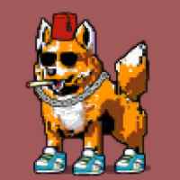 DogePunks #770