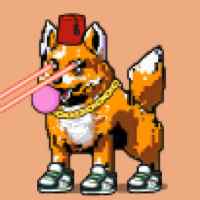 DogePunks #2860