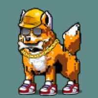 DogePunks #719