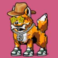 DogePunks #3972