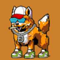 DogePunks #329