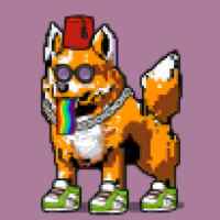 DogePunks #3505