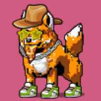 DogePunks #4009