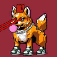 DogePunks #2063