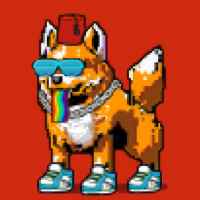 DogePunks #2902
